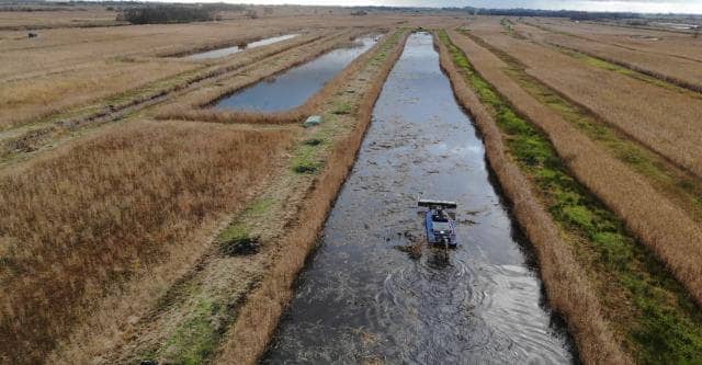 Een harkboot verwijdert exotische waterplanten in de Weerribben.