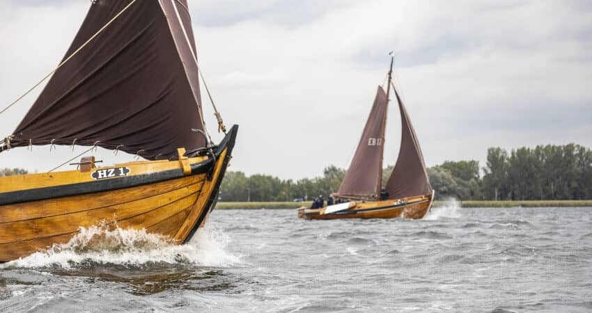 Geen Almere Haven Festival - wél hele jaar activiteiten en evenementen in Almere Haven