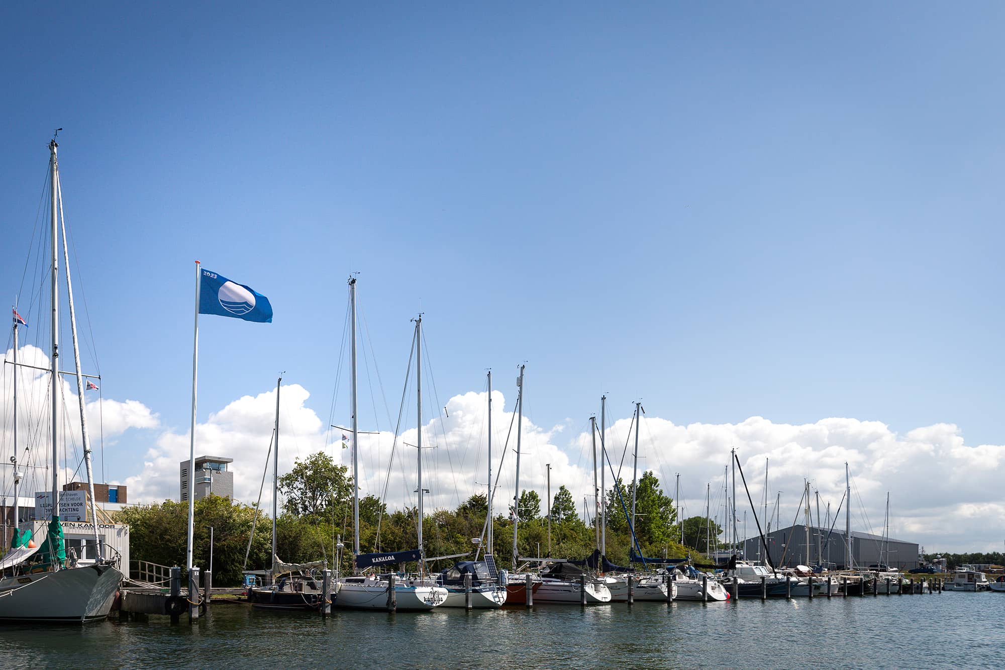 Blauwe Vlag Blauwe Vlag